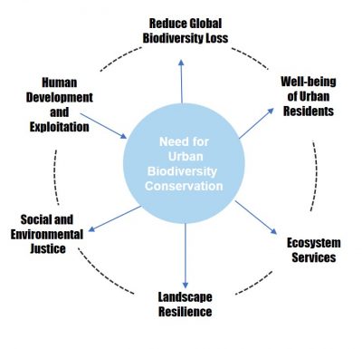 Urban Ecosystem Services And Biodiverse Cities | Sustainable Urban ...